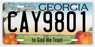GA license plate CAY9801