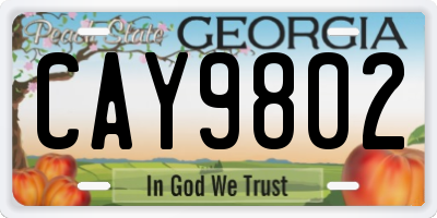 GA license plate CAY9802
