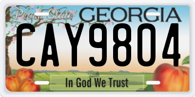 GA license plate CAY9804