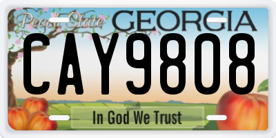 GA license plate CAY9808