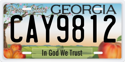 GA license plate CAY9812