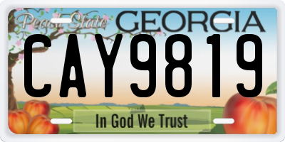 GA license plate CAY9819