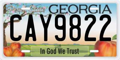 GA license plate CAY9822