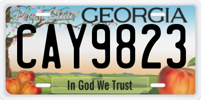 GA license plate CAY9823