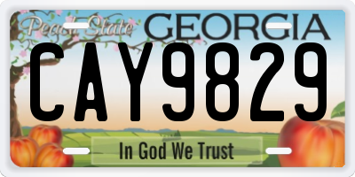 GA license plate CAY9829