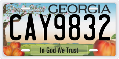GA license plate CAY9832