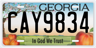GA license plate CAY9834