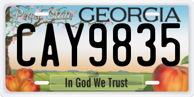 GA license plate CAY9835