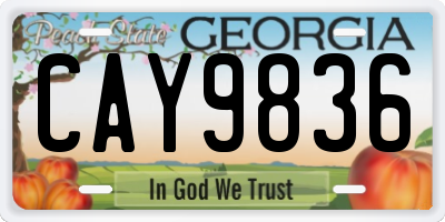 GA license plate CAY9836