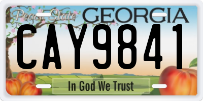 GA license plate CAY9841