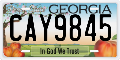 GA license plate CAY9845