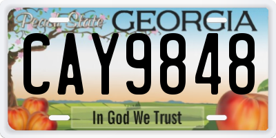 GA license plate CAY9848