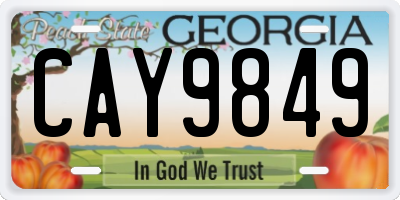 GA license plate CAY9849