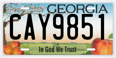 GA license plate CAY9851