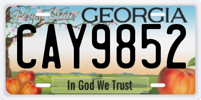 GA license plate CAY9852