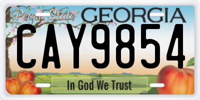GA license plate CAY9854