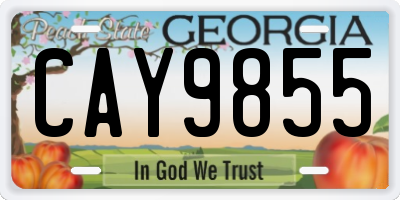 GA license plate CAY9855