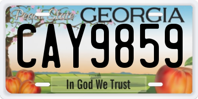 GA license plate CAY9859