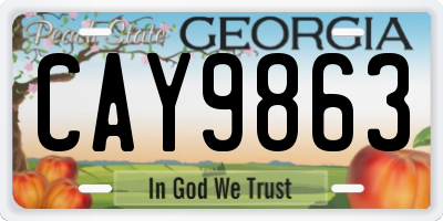 GA license plate CAY9863