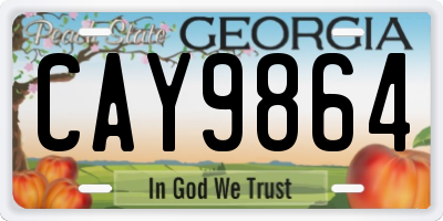 GA license plate CAY9864