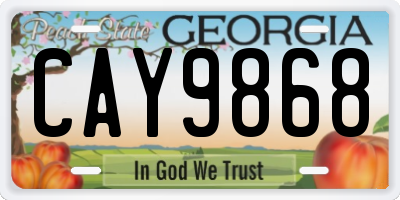 GA license plate CAY9868