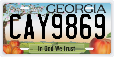 GA license plate CAY9869