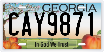 GA license plate CAY9871