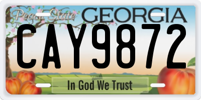 GA license plate CAY9872