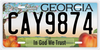GA license plate CAY9874