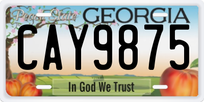 GA license plate CAY9875