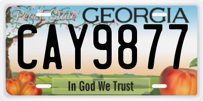 GA license plate CAY9877