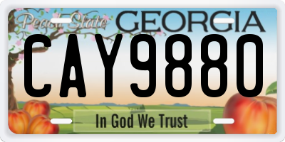GA license plate CAY9880