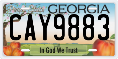 GA license plate CAY9883