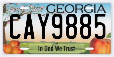GA license plate CAY9885