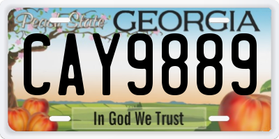 GA license plate CAY9889