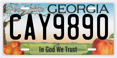 GA license plate CAY9890