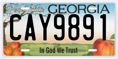 GA license plate CAY9891