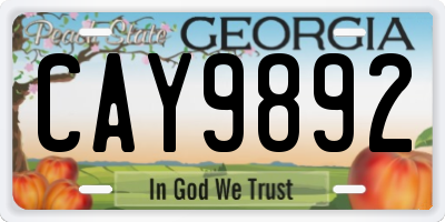 GA license plate CAY9892