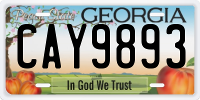 GA license plate CAY9893