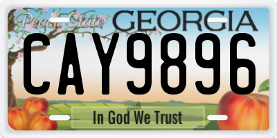 GA license plate CAY9896