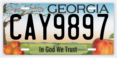 GA license plate CAY9897