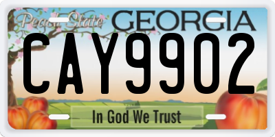 GA license plate CAY9902