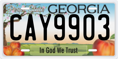 GA license plate CAY9903