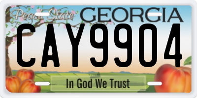 GA license plate CAY9904