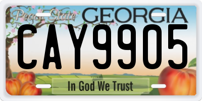 GA license plate CAY9905