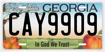 GA license plate CAY9909
