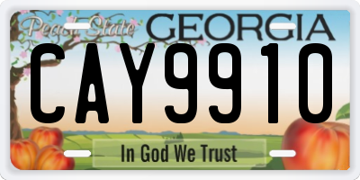 GA license plate CAY9910