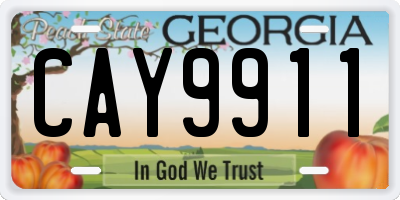 GA license plate CAY9911