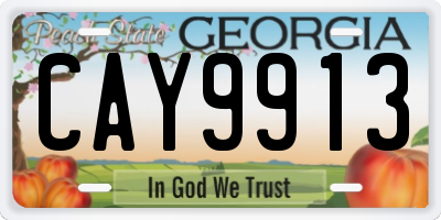 GA license plate CAY9913