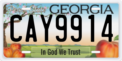 GA license plate CAY9914